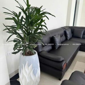 Chậu bom lửa trồng cây nội thất sang trọng